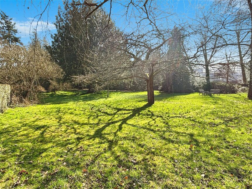 Communal Gardens