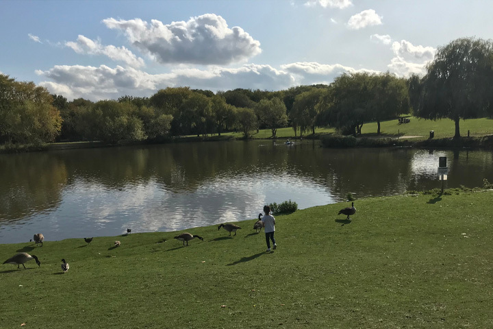 Swanley area guide